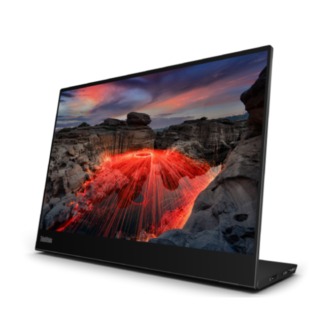 Монитор ThinkVision M14t Gen 2 (D24140QX0)14 inch Monitor-Type C