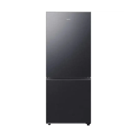 Холодильник Samsung RB50DG602EB1WR